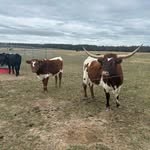 Barbara Gaither - @barbara.gaither.5 - Instagram