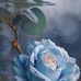 Barbara Galvan - Facebook