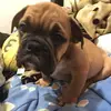 Barbara Galán - @barbaragalán - TikTok