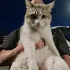 Barbara Galante - @barbara.galante2 - TikTok