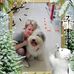 Barbara Galas - Facebook