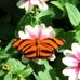 Barbara Galbraith Falk - Facebook