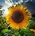 Barbara Galek - Facebook