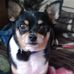 Barbara Gallant - Facebook