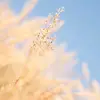 Barbara Gallegos - @barbara.gallegos55 - TikTok