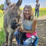 Barbara Galler - @chickendiver1 - Instagram