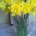Barbara Galler - Facebook