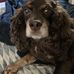 Barbara Gallier - Facebook