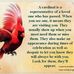 Barbara Gallups - Facebook