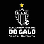 Academia de Futebol do Galo - Santa Barbara-MG - @academiagalo_santabarbaramg - Instagram