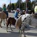 Barb Gamache - Facebook