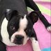 Barbara Gamache - Facebook