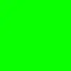 barbaragamboa470 - @barbaragamboa470 - TikTok