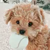 Barbara Gamero - @barbara.gamero5 - TikTok