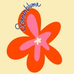 Sonnenblume by Barbara Gamper - @sonnenblume_cl - Instagram