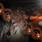 Barbara Gander - Facebook