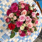 Barbara Gander - Facebook