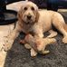 Barb Gandy - Facebook