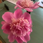Barbara Hildreth Ganem - @hildrethganem - Instagram
