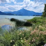 Barbara Garber - Facebook