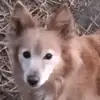 Barbara Garber - @barbara.garber - TikTok