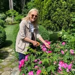 Barbara Israel Garden Antiques - @barbaraisrael_gardenantiques - Instagram