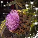 Barbara Garden - @bdollbarnes - Instagram