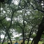 Barbara Garlock - @garlock4273 - Instagram