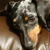 barbaragarrabrant - @barbaragarrabrant - TikTok