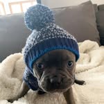 Barbara Kensington - @barbara_gary_frenchtons - Instagram