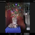 Barbara Ethel Gaskell - @barbaraethelgaskell - Instagram