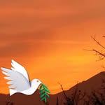 Barbara Gassner - @barbara.gassner.7 - Instagram