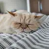 barbaragass693 - @babaloo_barbara - TikTok
