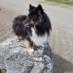 Barbara Gasser - @gasserbarbara - Instagram