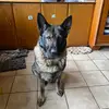 Gasser Barbara - @gasser.barbara - TikTok
