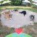 Barbara Gausemeier - Facebook