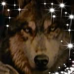 Barbara Gavin - @barbgavin5150 - Instagram