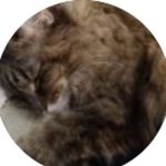 Barbara Gehlen - @gehlenbarbara0 - Instagram