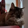 Barbara Gehlen - @barbara.gehlen - TikTok