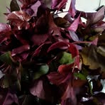 Barbara Sansanan Gemena - Facebook