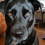barbara gerber - @bgerber46 - Instagram
