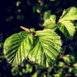 Barbara Gerber - @dontforgettheworld - Instagram