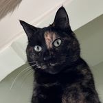 Barbara Gerke - @flour_power9 - Instagram
