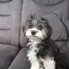 barbaragerken2792 - @barbaragerken2792 - TikTok