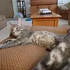 Barbara Gingrich - @barbara.gingrich - TikTok