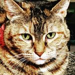 Barbara Glasgow-Jennie Marks - @fleurdelis15 - Instagram