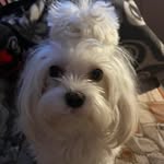 Barbara Glowacka Madsen - @glowackamadsen - Instagram