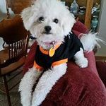 Barbara Goodwin - @barbaragoodwin - Instagram