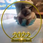 Barb Gorby - Facebook