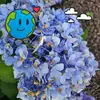 Barbara Gould - @barbara.gould98 - TikTok